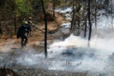 Fighting forest fire the commune secretary unfortunately fell and broke his arm