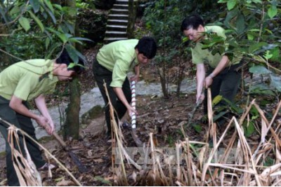 The Forest Protection Department warns of level V and IV forest fires - Extremely dangerous levels
