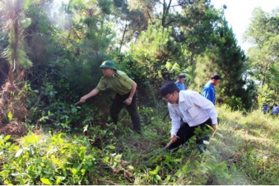 Hot weather threatens forests in Ha Tinh