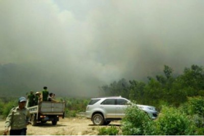 Hot weather consecutive forest fires in Nghe An