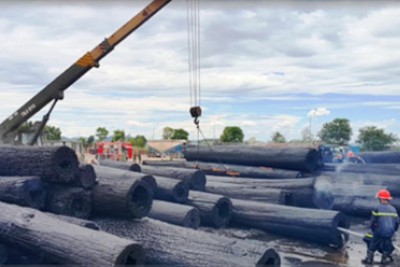 Cháy dữ dội ở bãi tập kết gỗ