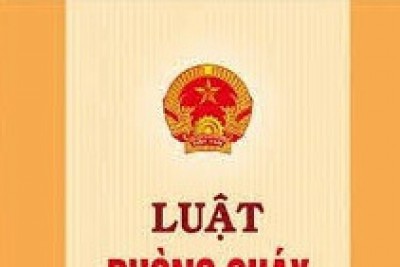 Một số điểm mới của Nghị định 136 2020 về sửa đổi