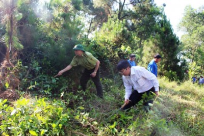 Nắng nóng đe dọa rừng ở Hà Tỉnh