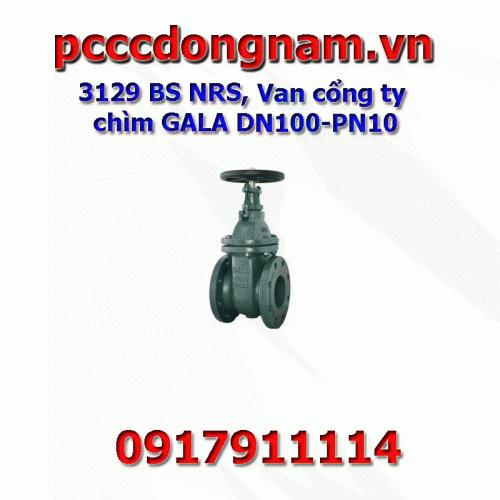 3129 BS NRS Van cổng ty chìm GALA DN100-PN10