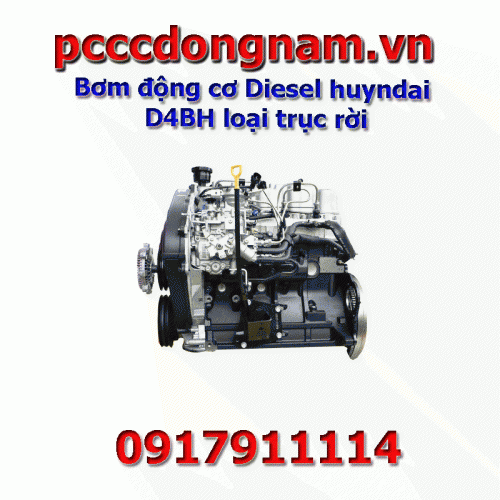 Diesel engine pump hyundai D4BH removable shaft type