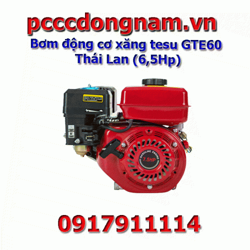 Bơm động cơ xăng tesu GTE60 Thái Lan (6,5Hp)