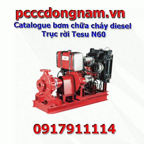 Catalog of diesel fire pumps with removable shaft Tesu N6