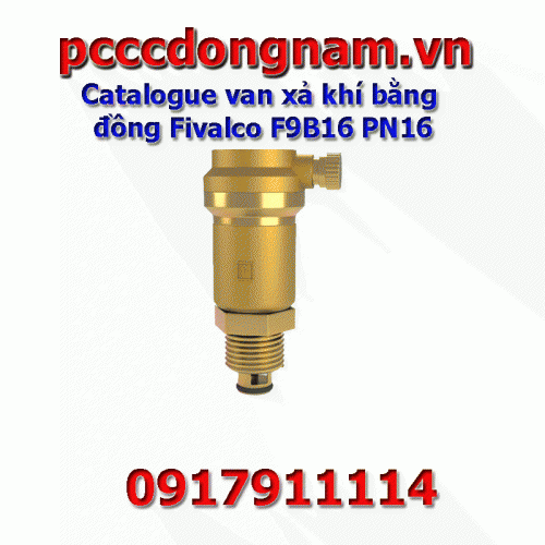 Catalog of brass exhaust valve Fivalco F9B16 PN16