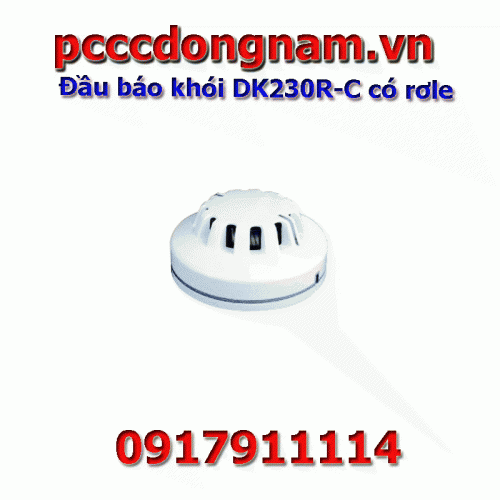 Smoke detector DK230R-C with relay