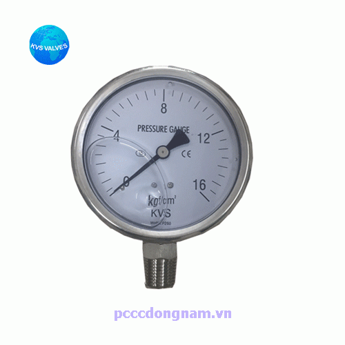 Đồng hồ áp suất KVS P260