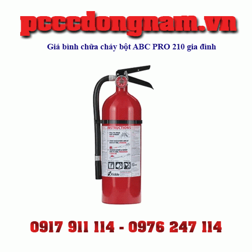 Consumer Fire Extinguisher PRO 210