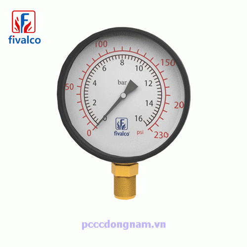 Price of water pressure gauge Fivalco FP11