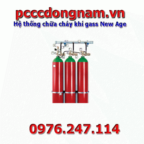 New Age gas fire extinguishing system