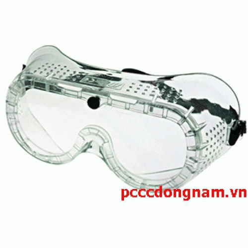 Taiwan SG201 goggles