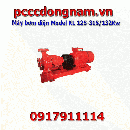 Máy bơm điện Model KL 125-315 132Kw