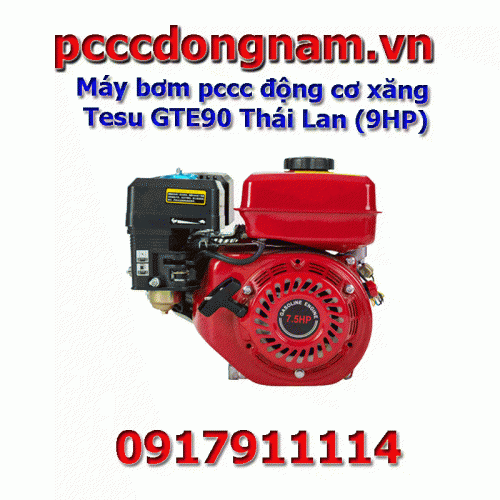 Máy bơm pccc động cơ xăng Tesu GTE90 Thái Lan (9HP)