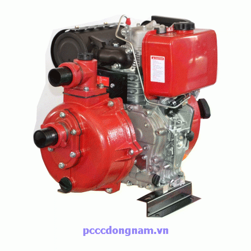 Tesu N10 Pump Diesel Engine