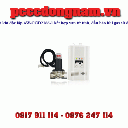 AW-CGD2166-1 Standalone Gas Detector With Magnetic Valve