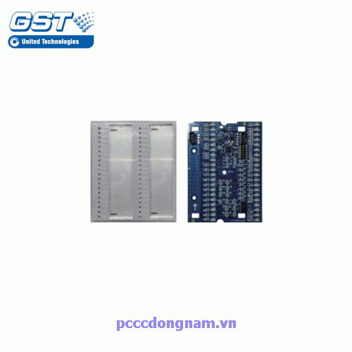 Module hiển thị vùng GST P-9981 và P-9981F