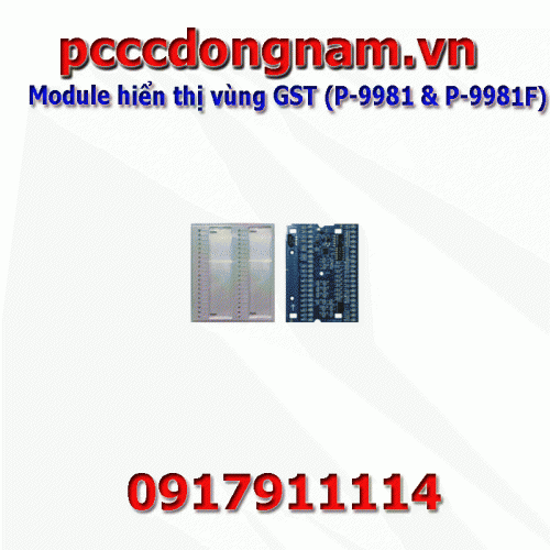 Module hiển thị vùng GST P-9981 và P-9981F