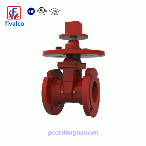 NRS 3288-LI-300-MJ, Genuine Fivalco gate valve