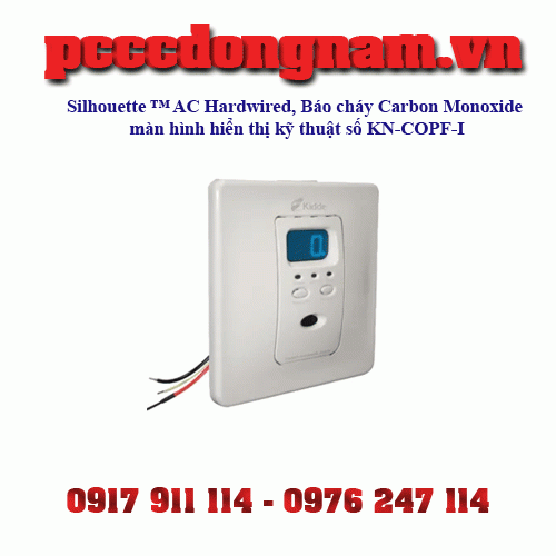 Carbon Monoxide Alarm with Digital Display KN-COPF-I