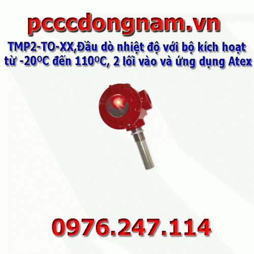 TMP2-TO-XX,Temperature probe with trigger from -20ºC to 110ºC 2 inputs and Atex app