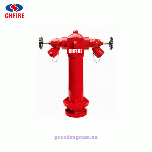 CHFIRE BS750 Wet barrel pillar fire hydrant for fire fighting (Dn100)