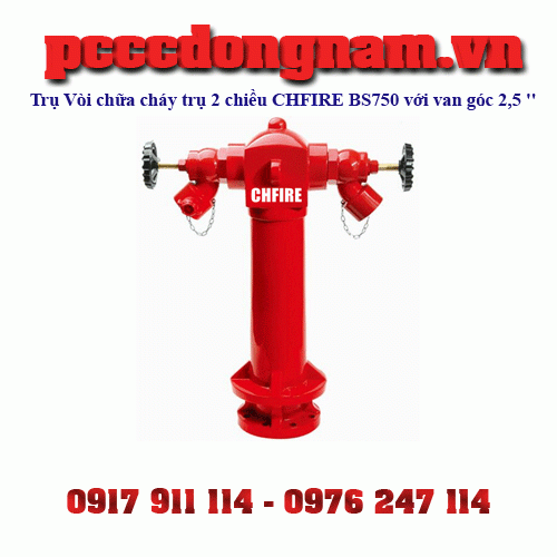 CHFIRE BS750 2 way pillar fire hydrant with 2.5 in landing valve