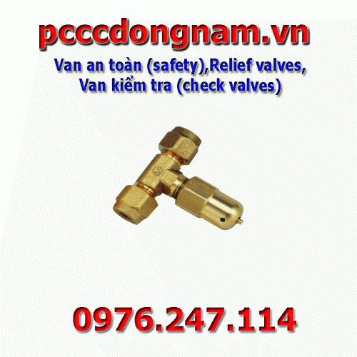 Van an toàn (safety),Relief valves,Van kiểm tra (check valves)