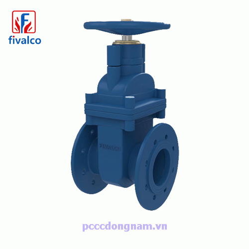 Fivalco NRS elastic gate valve F23A F23B