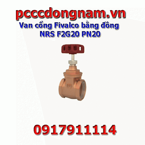 Fivalco bronze gate valve NRS F2G20 PN20