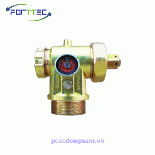 Synthetic Cylinder Valves Forttec