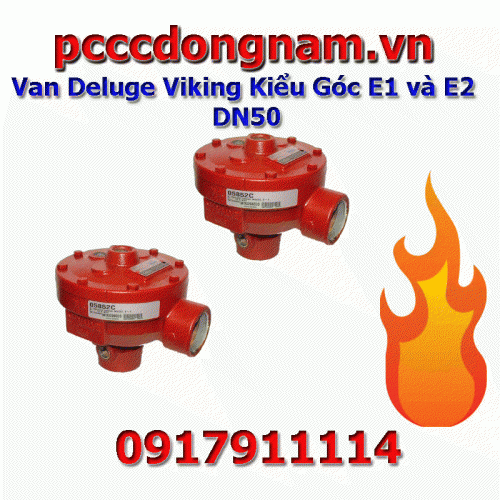Deluge Viking Valve Angle Model E1 and E2 DN50