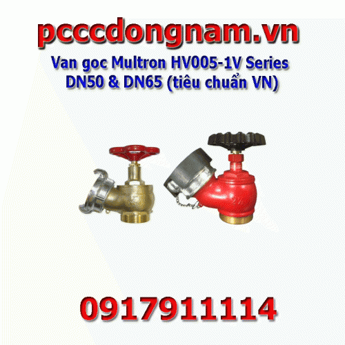Van goc Multron HV005-1V Series DN50 và DN65, Van goc Tiêu chuẩn Việt Nam