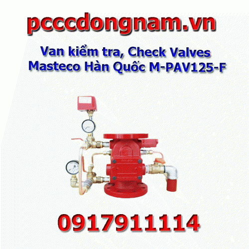 Check Valves, Check Valves Masterco Korea M-PAV125-F