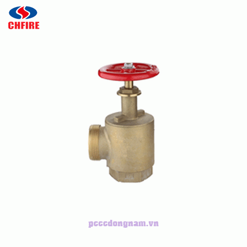 2.5 inch Brass Fire hydrant landing valve