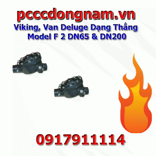 Viking, Van Deluge Dạng Thẳng Model F 2 DN65 và DN200