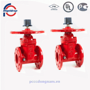 104FF,Van Cổng Ty Chìm Mặt Bích Rapidrop tiêu chuẩn UL FM