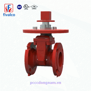 3288-LI-300-FM,Van cổng Fivalco NRS