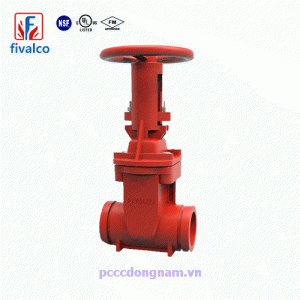 3299-LI-300-GG,Thông số kỹ thuật van cổng nối rãnh Fivalco