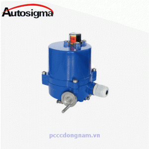 Bộ truyền động điện Autosigma HSM-002 004 006