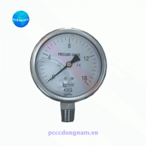 Đồng hồ áp suất KVS P260