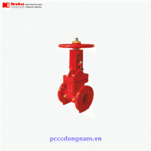 Flanged Resilient Swing Check Valve,Van kiểm tra xoay kết nối mặt bích