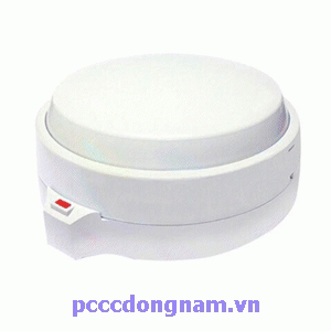 FMD WS19L, Formosa Heat Incremental Detector