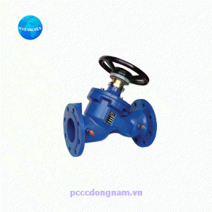 KVS 2872 Van cân bằng nối mặt bích