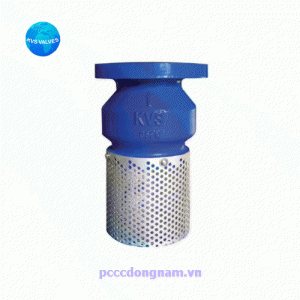 KVS-600F Chõ bơm nước Rọ bơm nối mặt bích