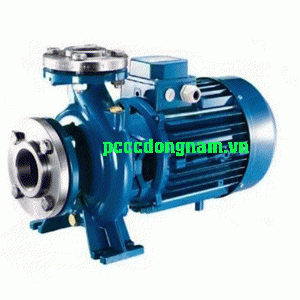 Máy bơm cấp nước tiêu chuẩn Versar VC-MODEL trục ngang liền trục