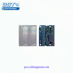 Module hiển thị vùng GST P-9981 và P-9981F