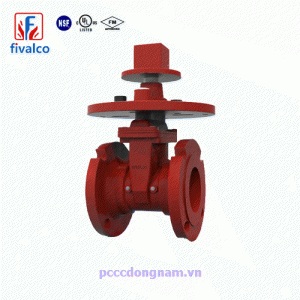 NRS 3288-LI-300-MJ, Van cổng ty chính chính hãng Fivalco